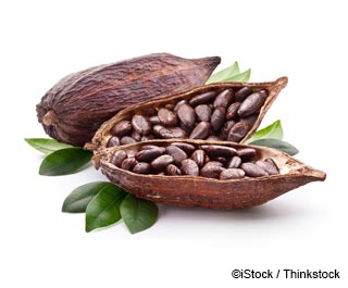 Cacao